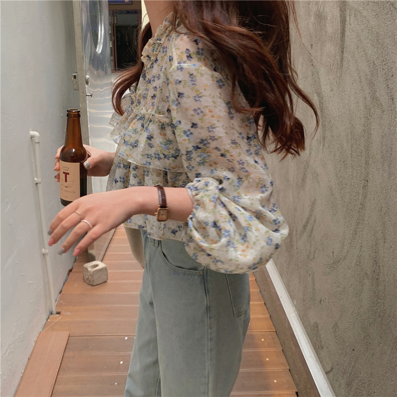 Long Sleeve Blouse Women Flora - Women'S Formal Wear Blouse reseña y precio